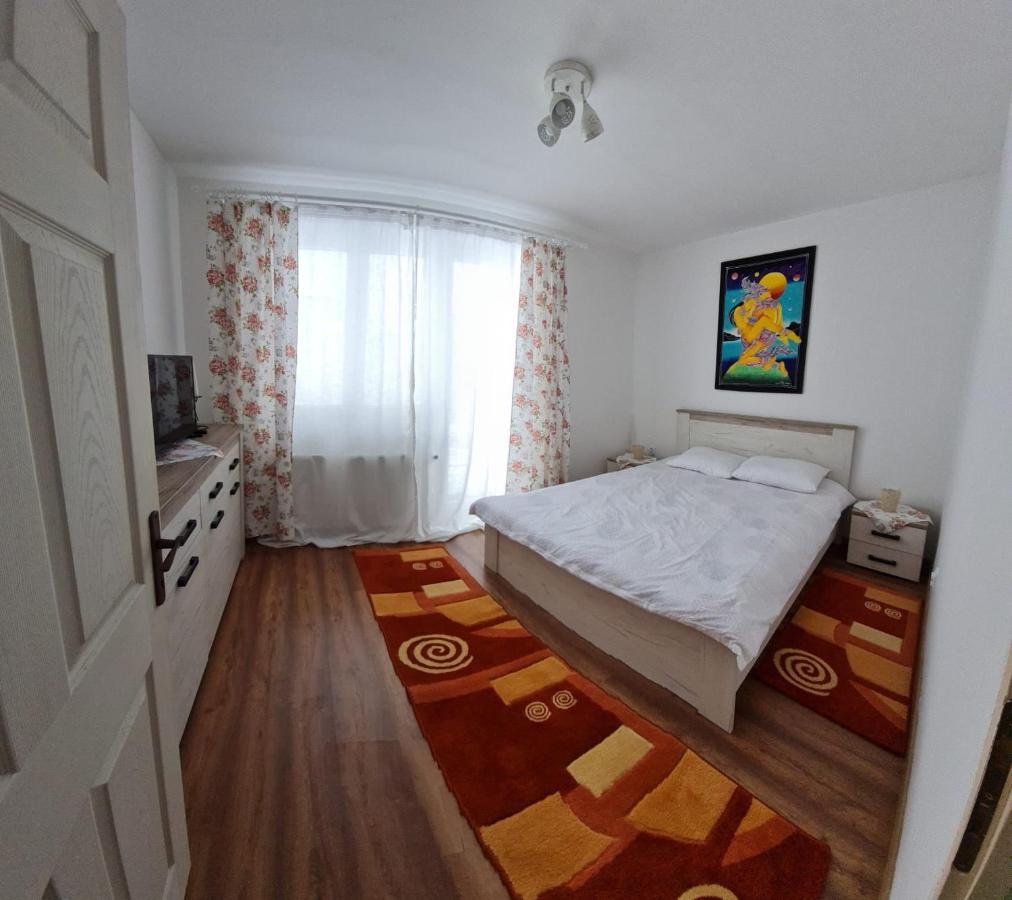 Dddd Apartament Cavnic Eksteriør billede